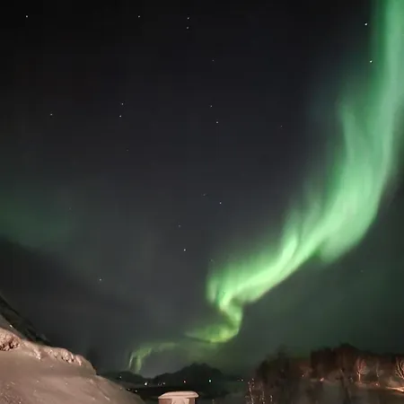 Lofoten Arctic Ridge 別荘 *